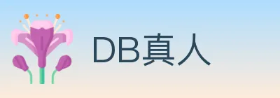 DB真人 logo